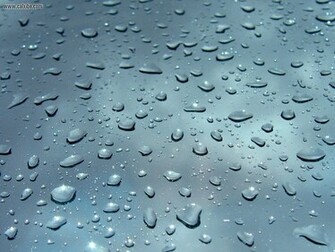 Nature Water Drops More Pictures Of
