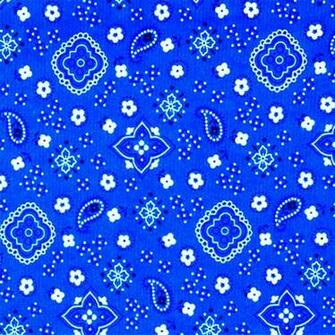 Blue Bandana Print