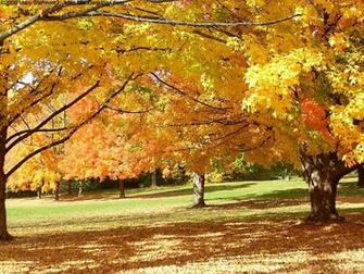 My Wallpaper Nature Autumn