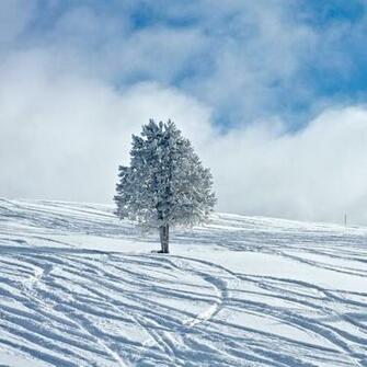 iPad Wallpaper Christmas Winter For