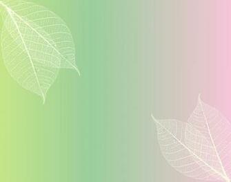 Green And Pink Background HD Wallpaper On Picsfair