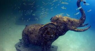 National Elephant Day Stone Ko Racha Yai