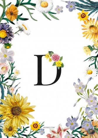 Letter D Background Wallpaper