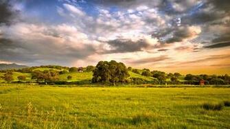 Wallpaper Grass Spring Nature