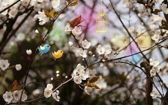 Welcome Spring Wallpaper HD