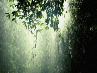 Wallpaper HD Rain Re S Info