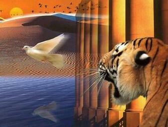 Desktop Background Animal Life Kitten Cat Big Cats