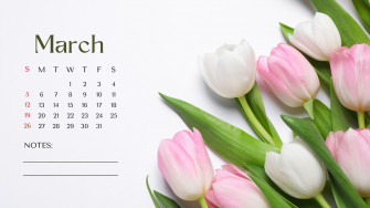 And Customizable Spring Desktop Wallpaper Templates