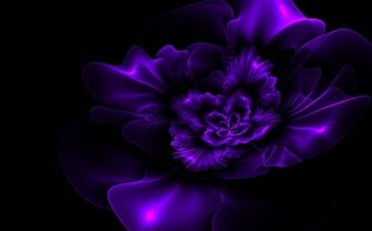 Dark Purple Fractal Flower Wallpaper