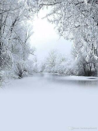 Snow Covered Trees Frozen River Photography Backdrop Vinyl Winter