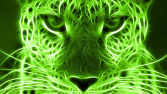 Neon Green Aesthetic Wallpaper