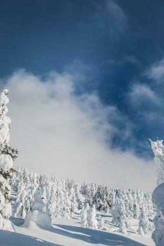 Skiing Pictures Image