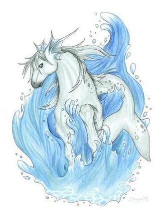 The Creature Of Month Hippocampus Sea Horse By Oberon Zell