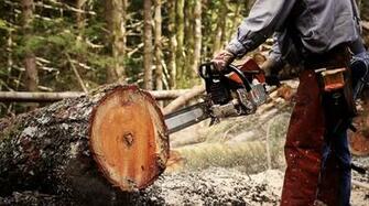 Logging Wallpaper High Quality