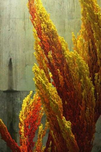 Corner Fire 3d iPhone Wallpaper Walls