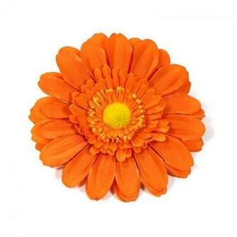 Description Orange Gerbera Daisyjpg HD Walls Find Wallpaper