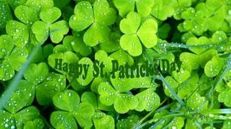 Picturespool St Patrick S Day Greetings Wallpaper