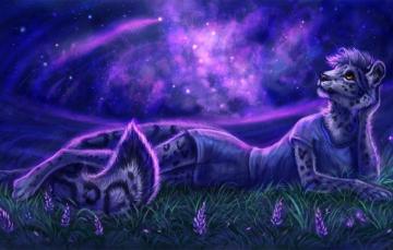Wallpaper Grass Look Face Girl Space Stars Night Pose