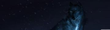 Wolf Art Ultra HD Desktop Background Wallpaper For Widescreen
