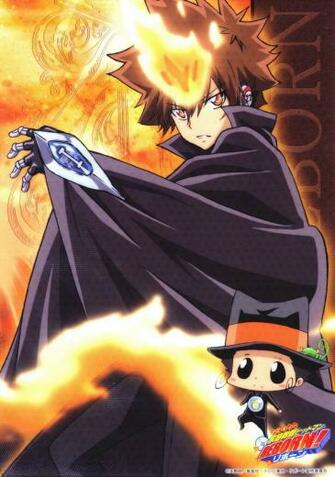 Sawada Quot Tsuna Tsunayoshi Image Amp Reborn HD