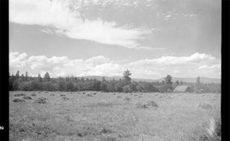 Photos Yale Releases Image Of Depression Era Oregon Local
