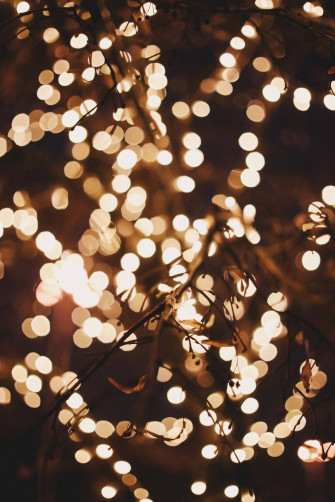 Make Your Holiday Sparkle With Beautiful Christmas Lights