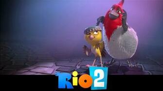 Rio Movie 2k HD Wallpaper
