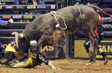 Bull Riding Bullrider Rodeo Western Cowboy Extreme Cow