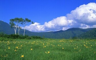 Wallpaper Celebrity Nature Desktop