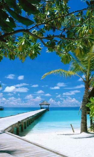 Thought Provoking Summer Wallpaper For Windows Phone