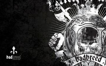 Everlast Wallpaper Font Graphic Design Illustration Black And