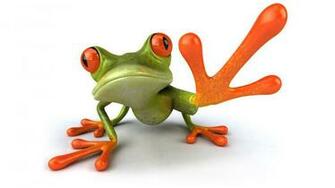Green Funny Frog