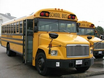 School Bus Image Crazy Gallery