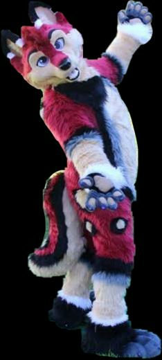HD Bookerfox Furries Fursuit Fursona Furry