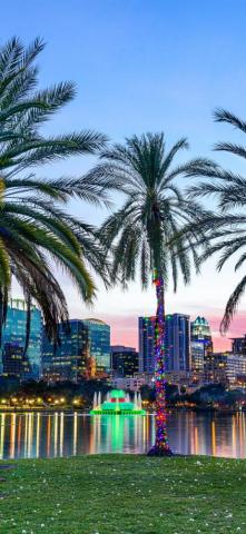 iPhone Wallpaper Lake Eola Park Orlando Palm Trees Downtown
