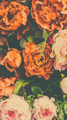 Orange And Pink Peonies Artificial Flower iPhone Pro