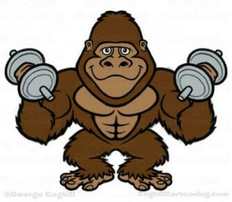 Jungle Gym Gorilla Bodybuilder Cartoon Character Sketches Coghill