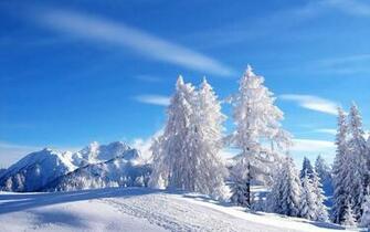 Snow Scenes Photography Desktop Wallpaper In HD