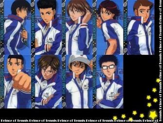Seigaku Prince Of Tennis Wallpaper