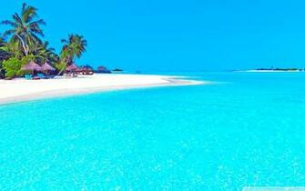 Crystal Clear Water 4k HD Desktop Wallpaper For Ultra Tv