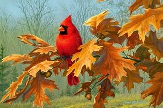 Cardinal Wallpaper For Computer Image Pictures Findpik
