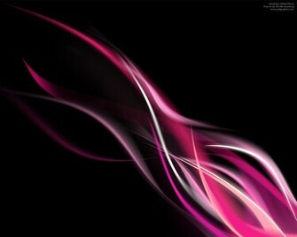 White Pink Purple Rose Vibrant Colors Flames On Black Keywords Fire