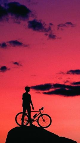 Wallpaper Mountain Bike Art Biking Photography