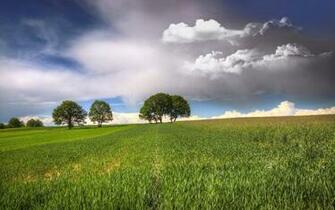 Naturaleza Wallpaper Y Tema Windows Photofusionvirtual