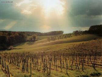 Tuscan Wallpaper Related Keywords Suggestions