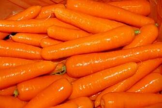 Carrot Wallpaper High Quality