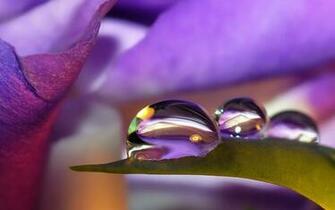 Awesome Colorful Wallpaper Cute