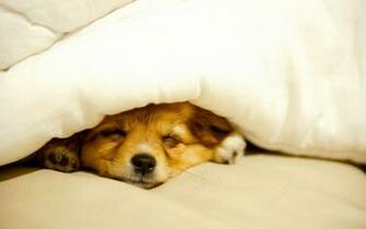 Am Warm