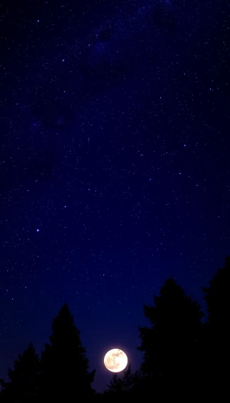 Wallpaper Full HD