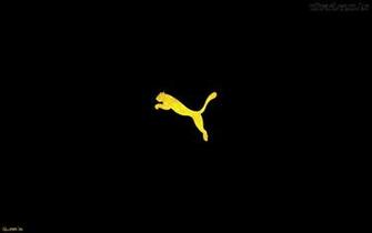 Pin Puma Intersection Wallpaper